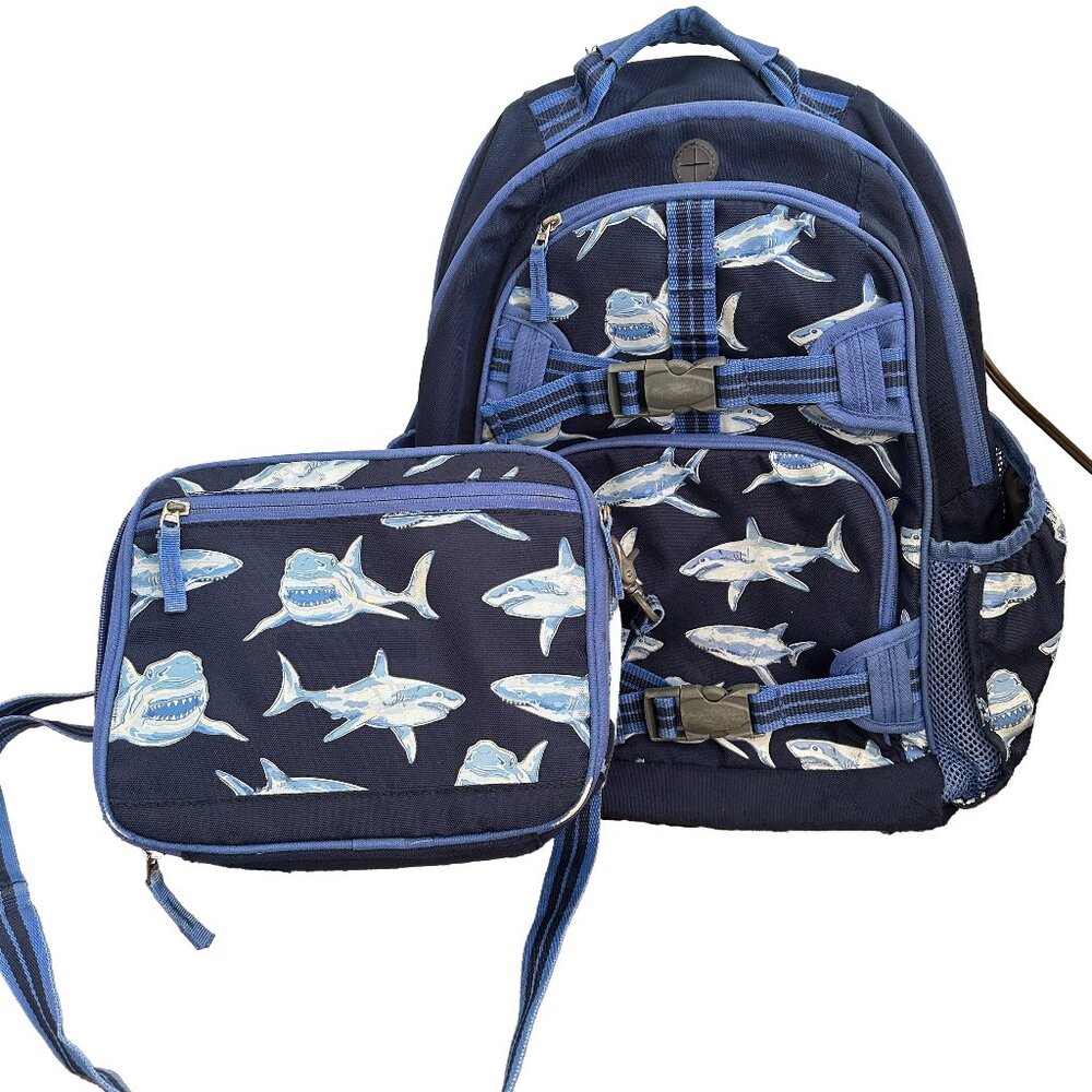 Pottery Barn Kids Backpack and Lunch Bag Set